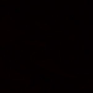 Meet your Posher, Grady